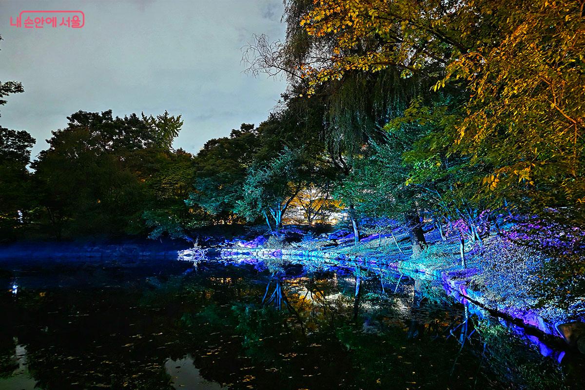 Lights and trees around the smaller pond