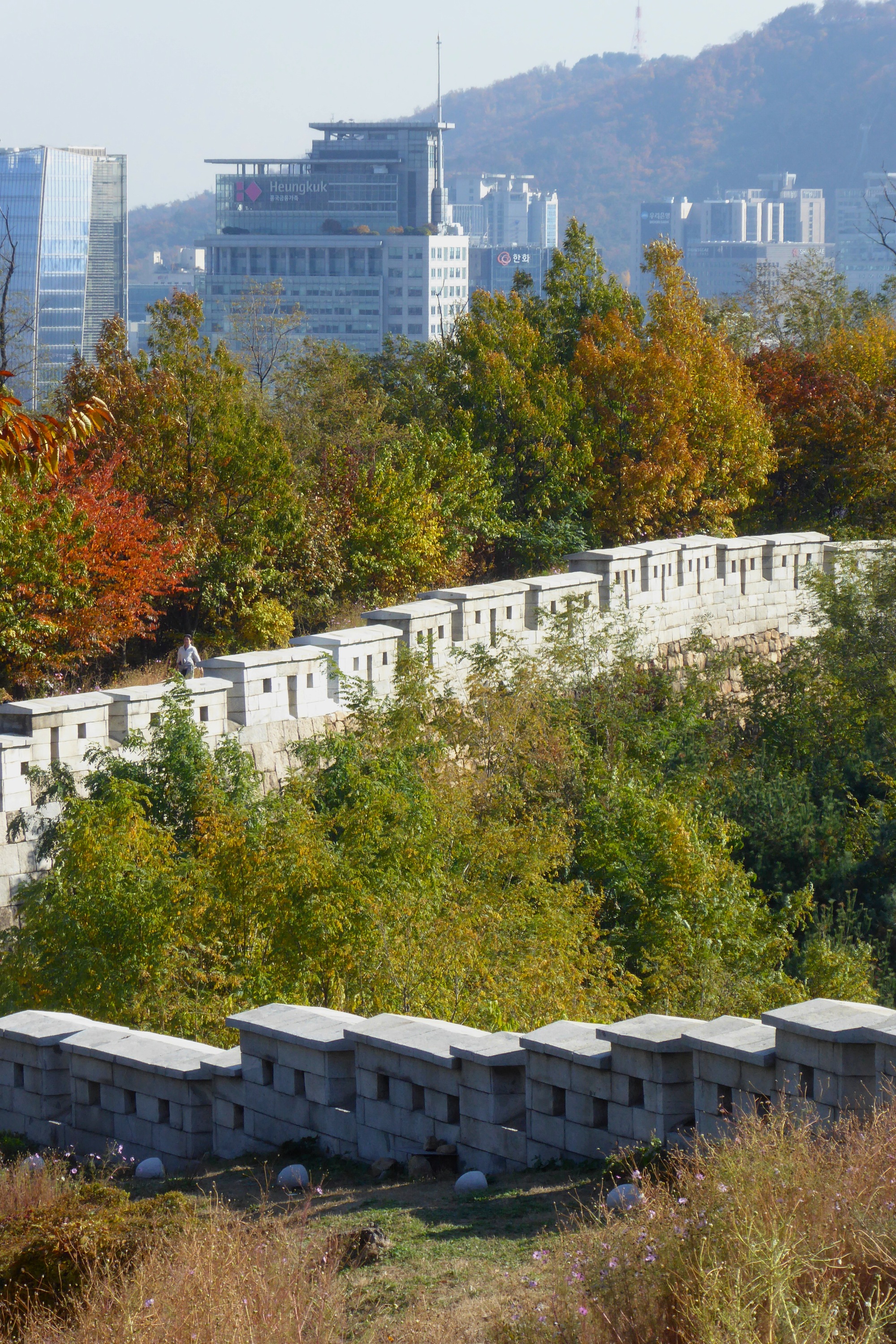 Autumn trees beside the Inwangsan wall